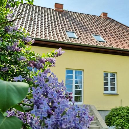 Gutshaus Neu Necheln Apartman Bruel Kültér fotó