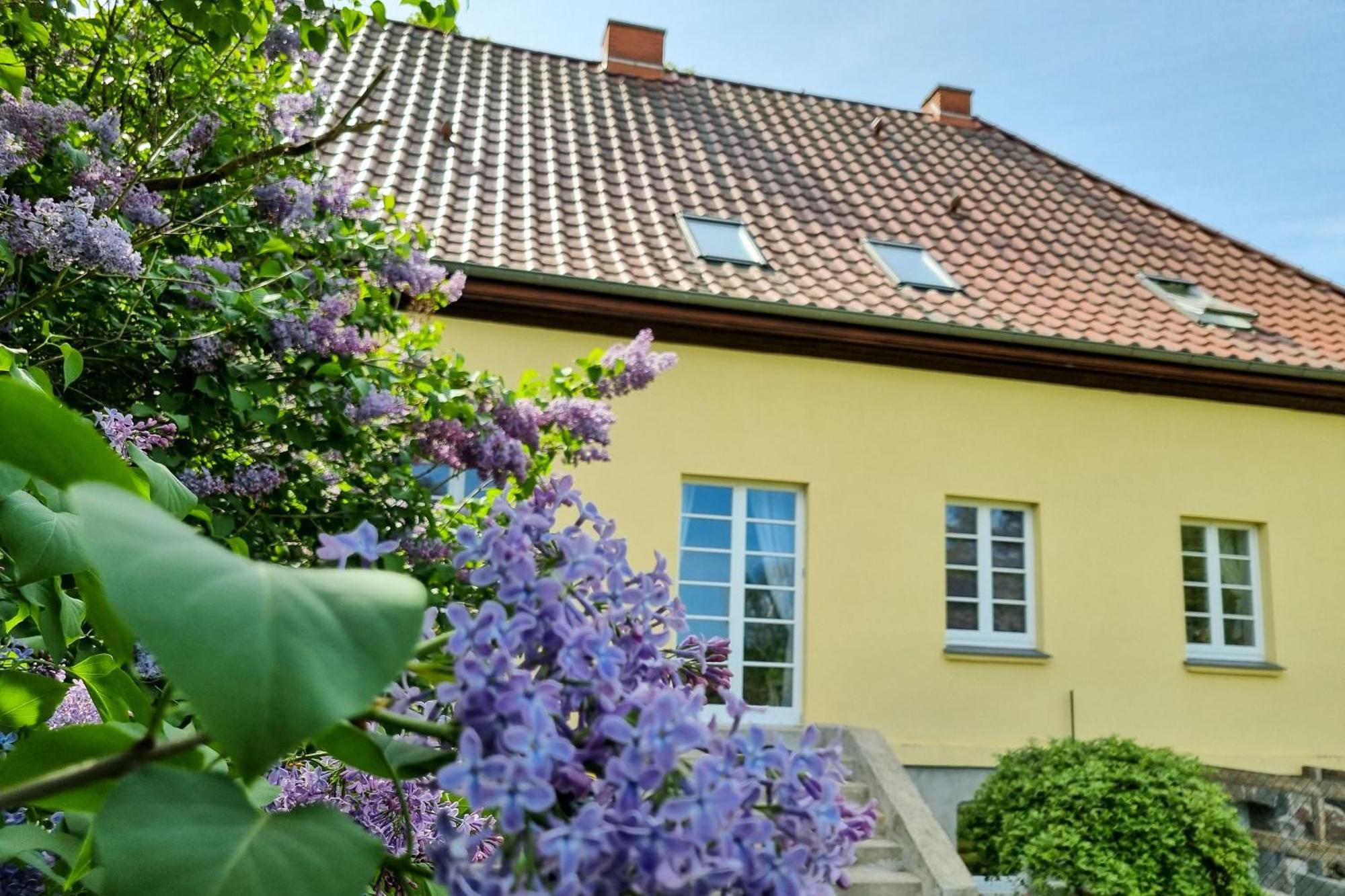 Gutshaus Neu Necheln Apartman Bruel Kültér fotó